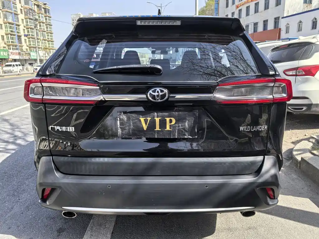 Toyota Wildlander 2.0L CVT 2WD Luxury Edition, фото 8