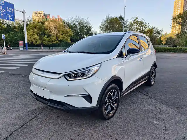 BYD Yuan Pro
