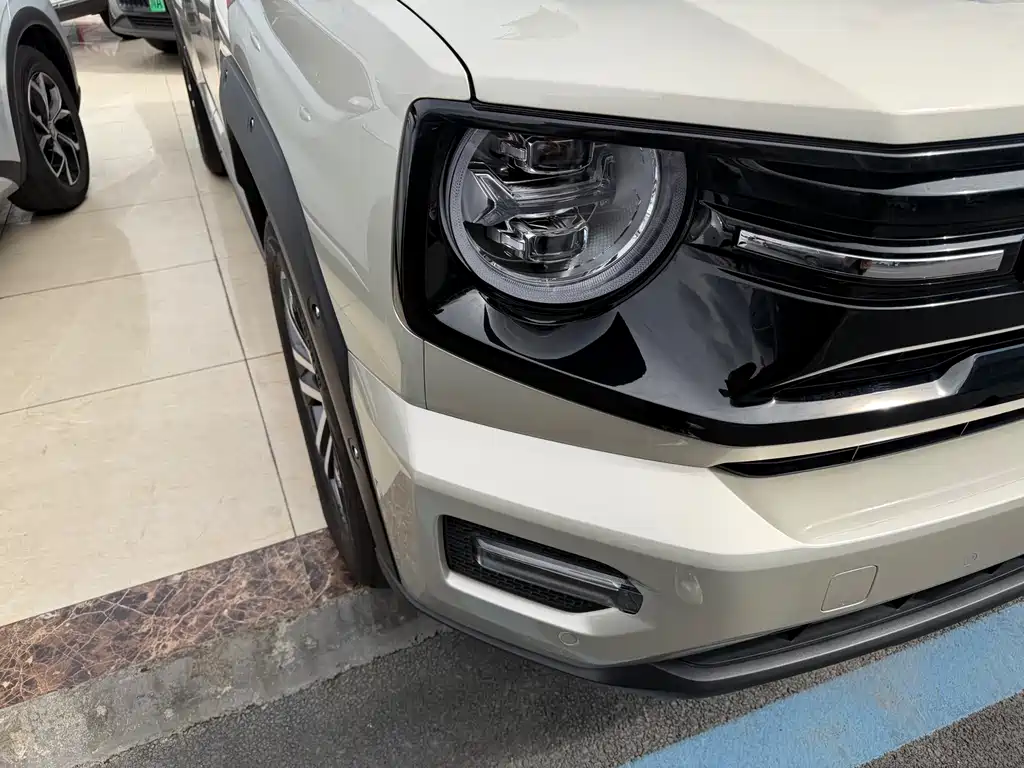 HAVAL SECOND GENERATION BIG DOG