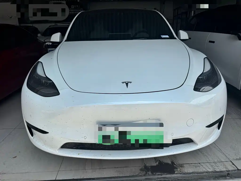 Tesla Model Y — миниатюра 2