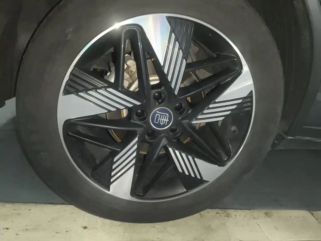 BYD Tang New Energy — миниатюра 8