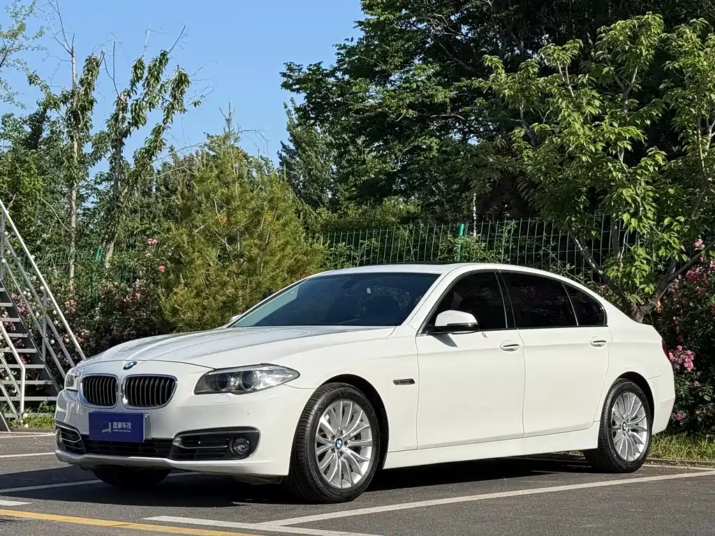 BMW 5 Series 2015