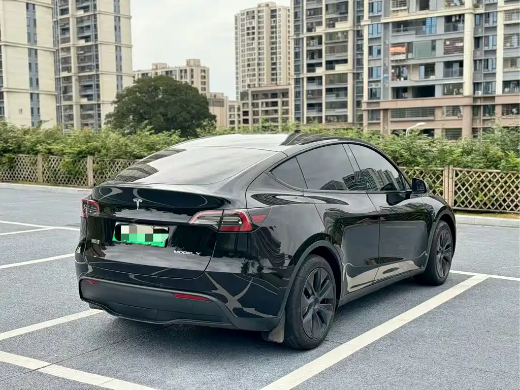 Tesla Model Y — миниатюра 7