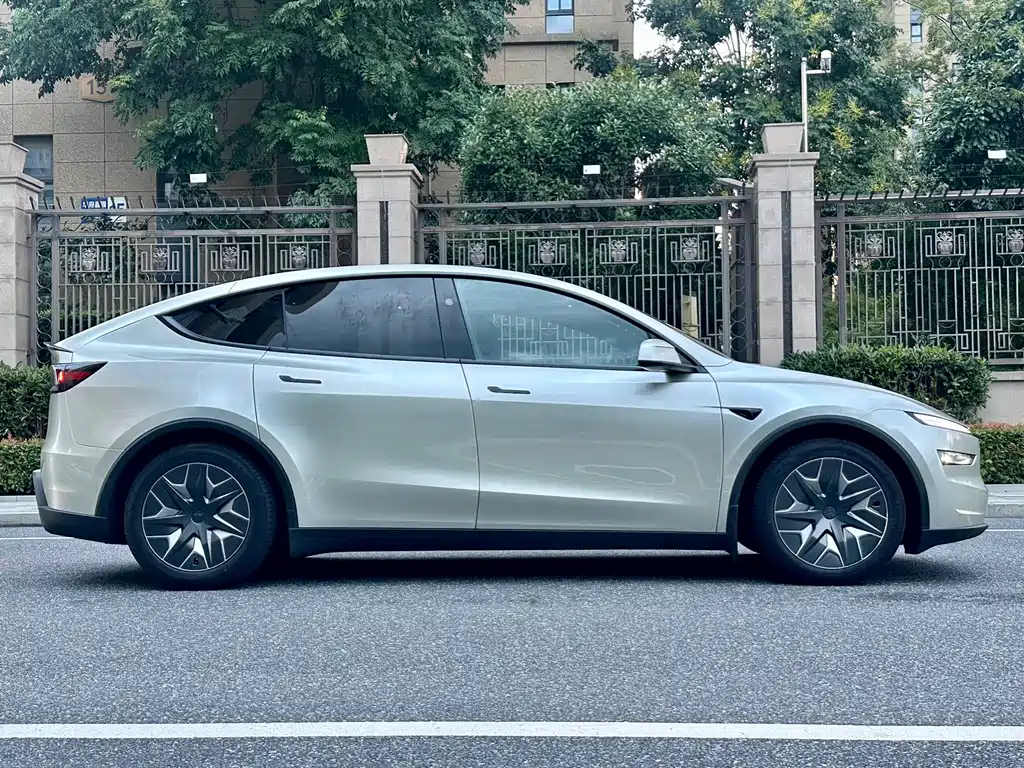 Tesla Model Y L — миниатюра 3