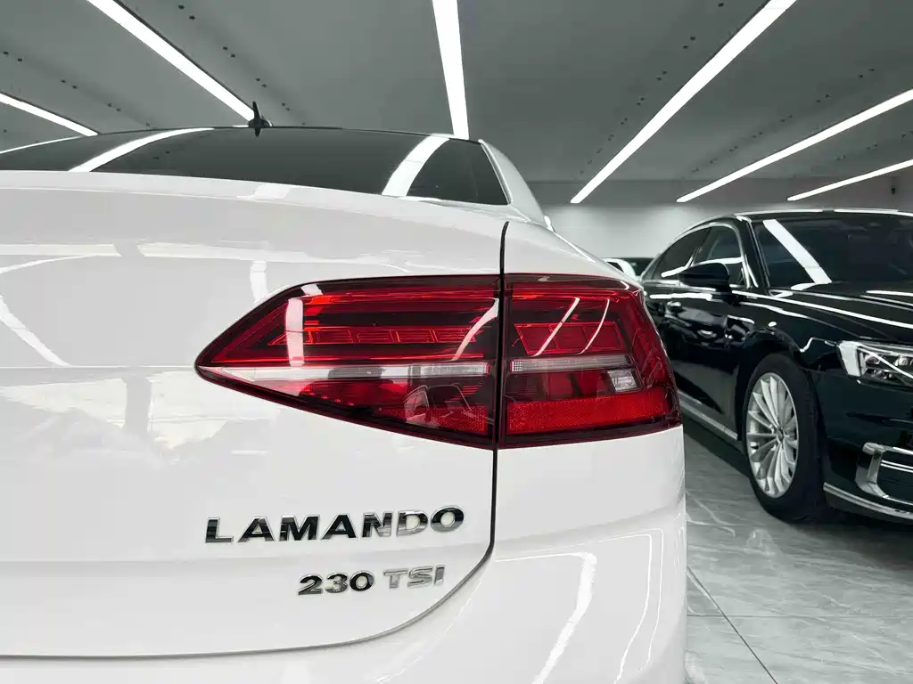 Volkswagen Lamando — миниатюра 20