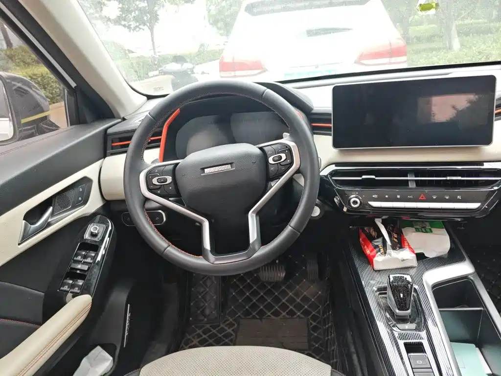 Haval Chitu — миниатюра 13