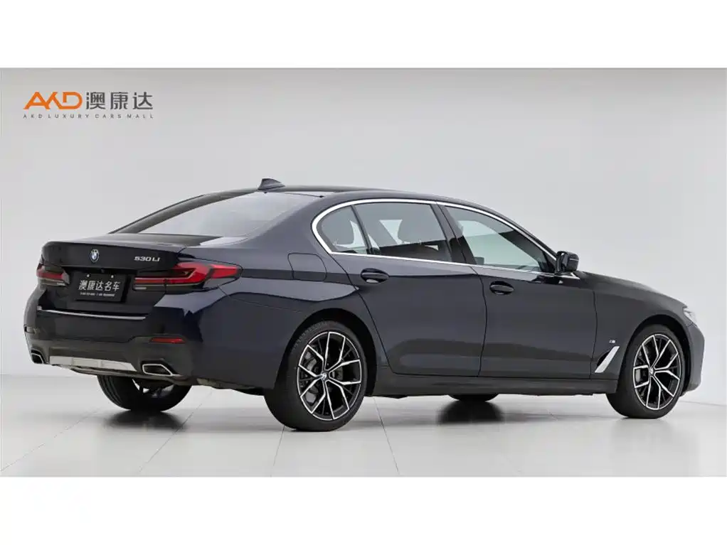 BMW 5 Series — миниатюра 3
