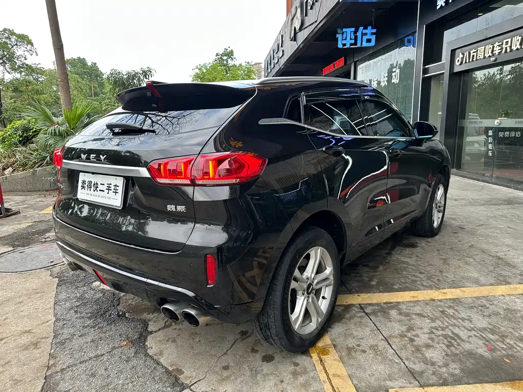 WEI PAI WEI BRAND VV5