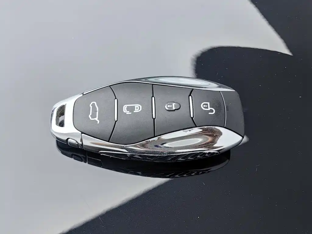 Hongqi Hongqi HQ9 — миниатюра 19
