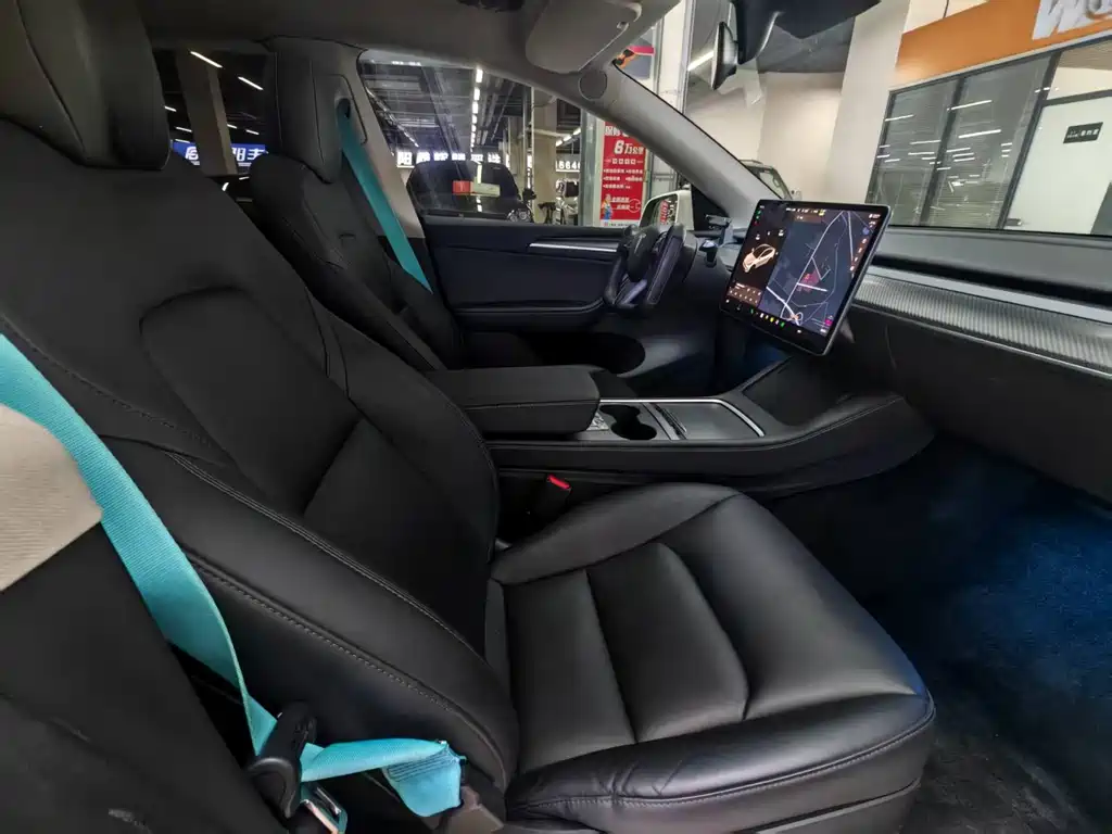 Tesla Model Y — миниатюра 14