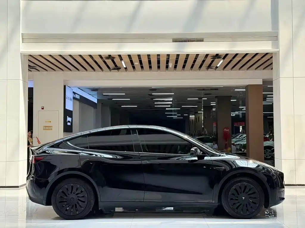 Tesla Model Y — миниатюра 4