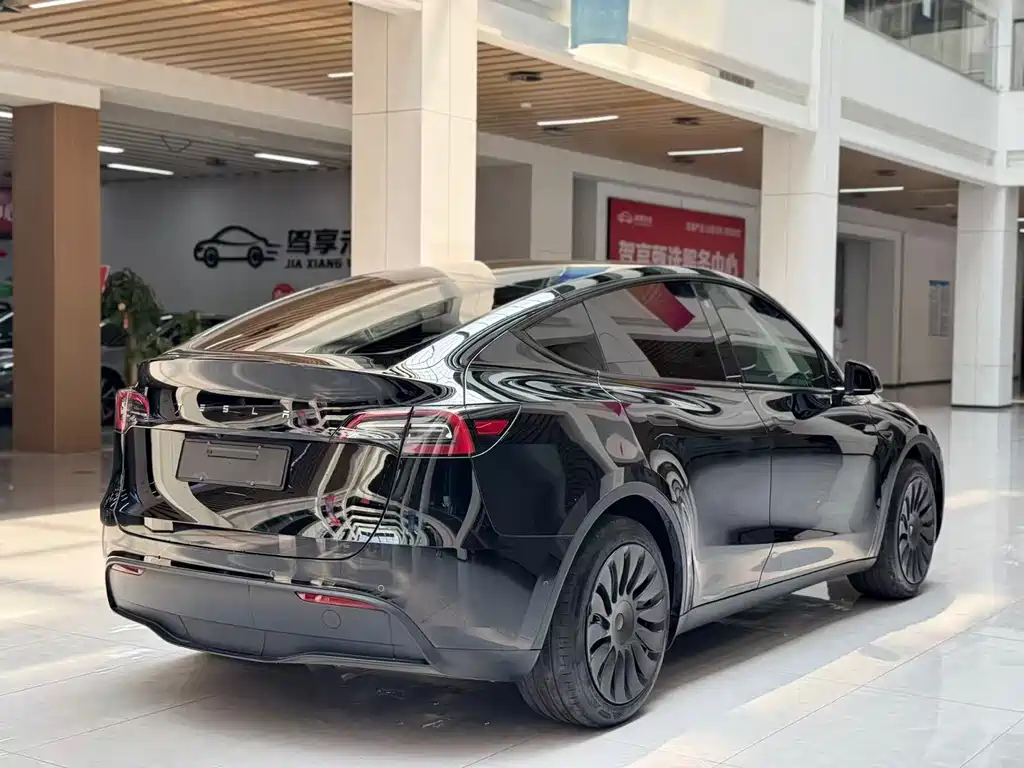 Tesla Model Y — миниатюра 5
