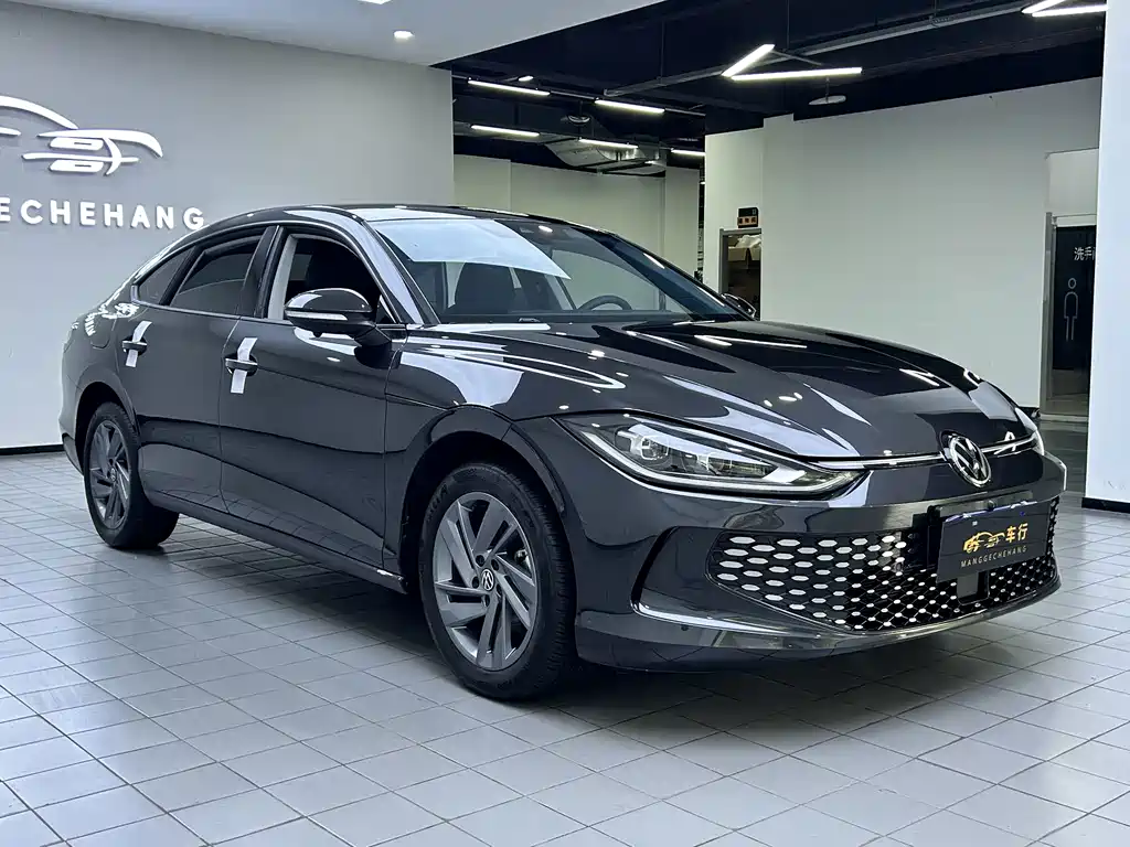 Volkswagen Lamando — миниатюра 3