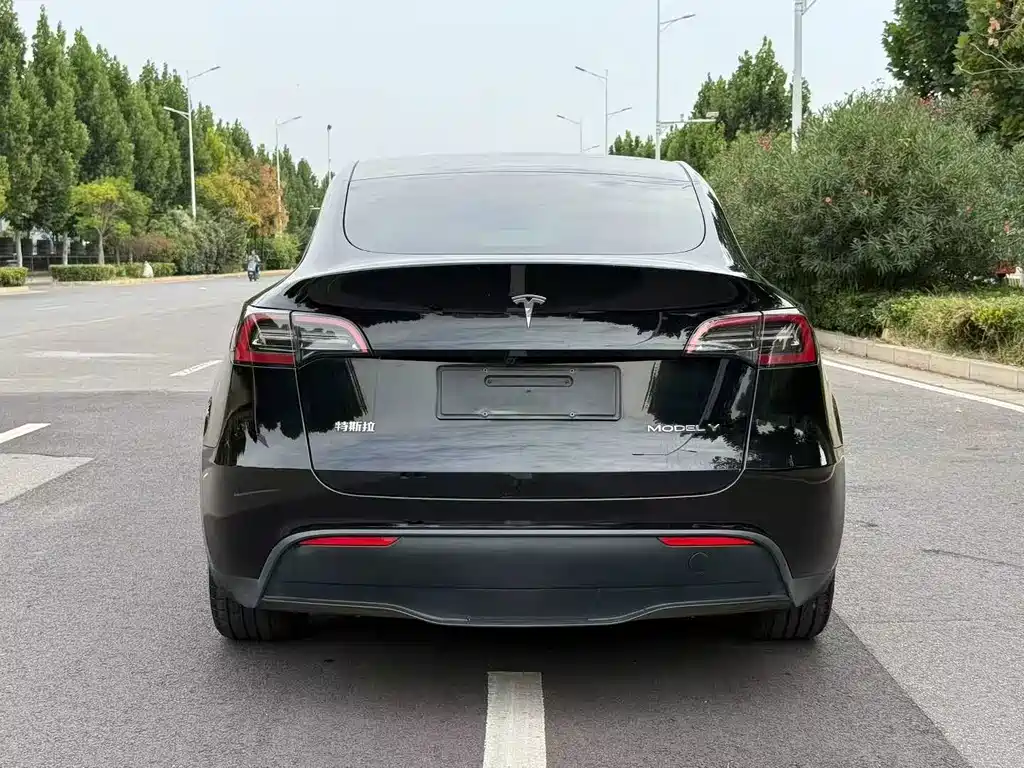 Tesla Model Y — миниатюра 8