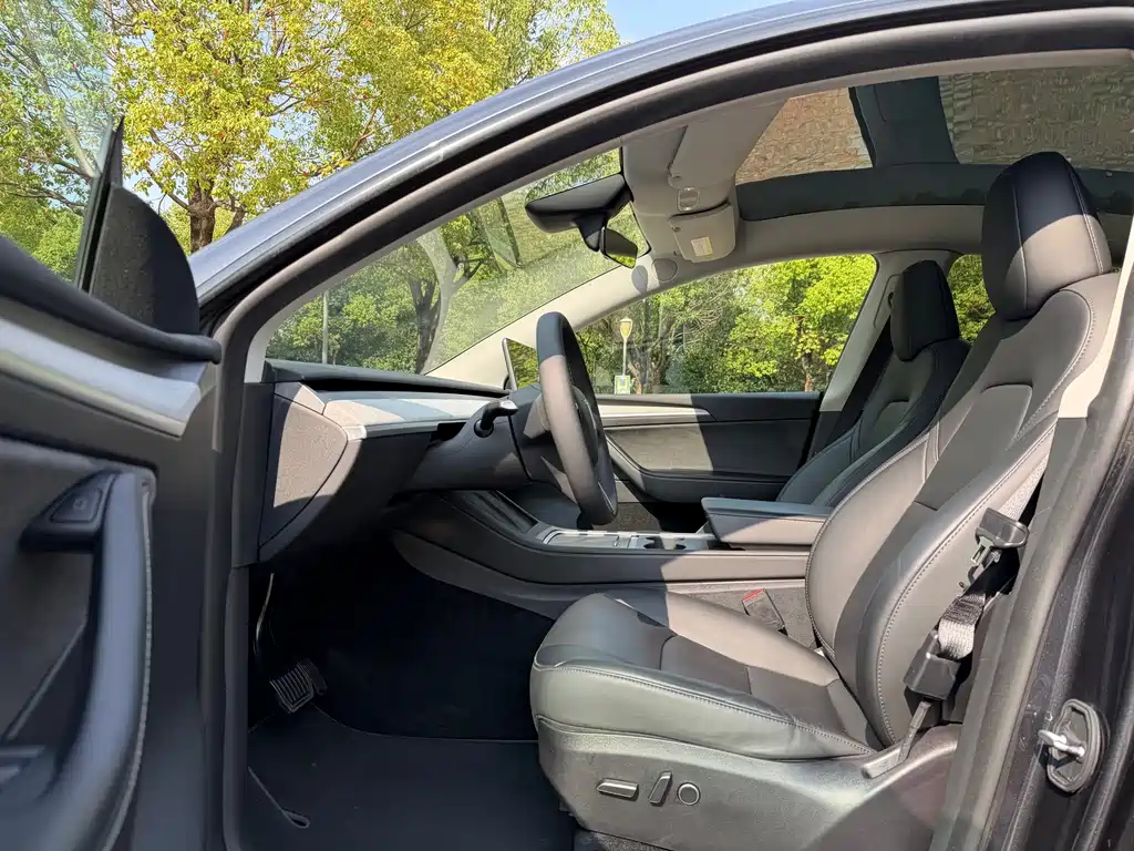 Tesla Model Y — миниатюра 7