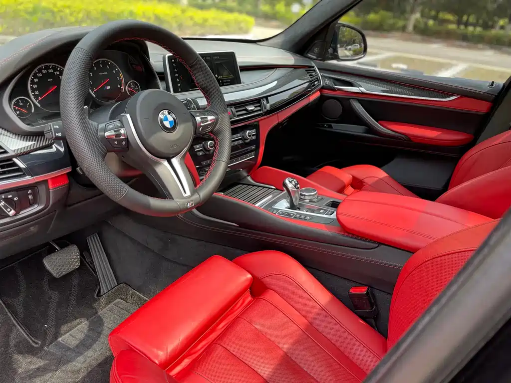 BMW X5 M 2013 X5 M