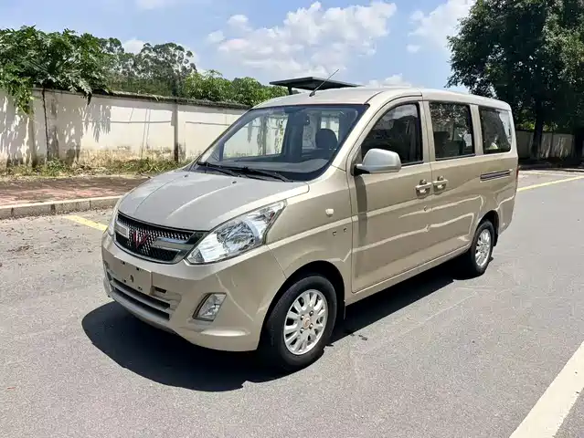 2019 Wuling Motors Rongguang