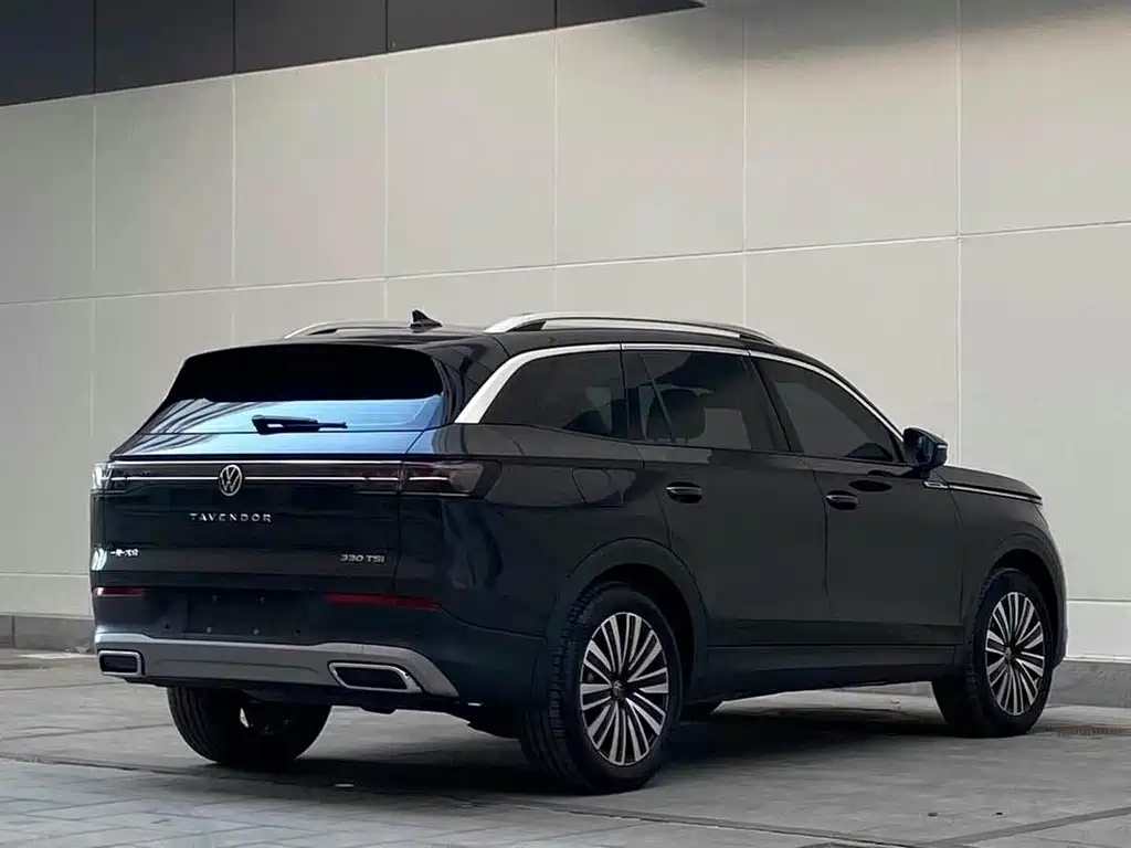 Volkswagen Tavendor — миниатюра 4