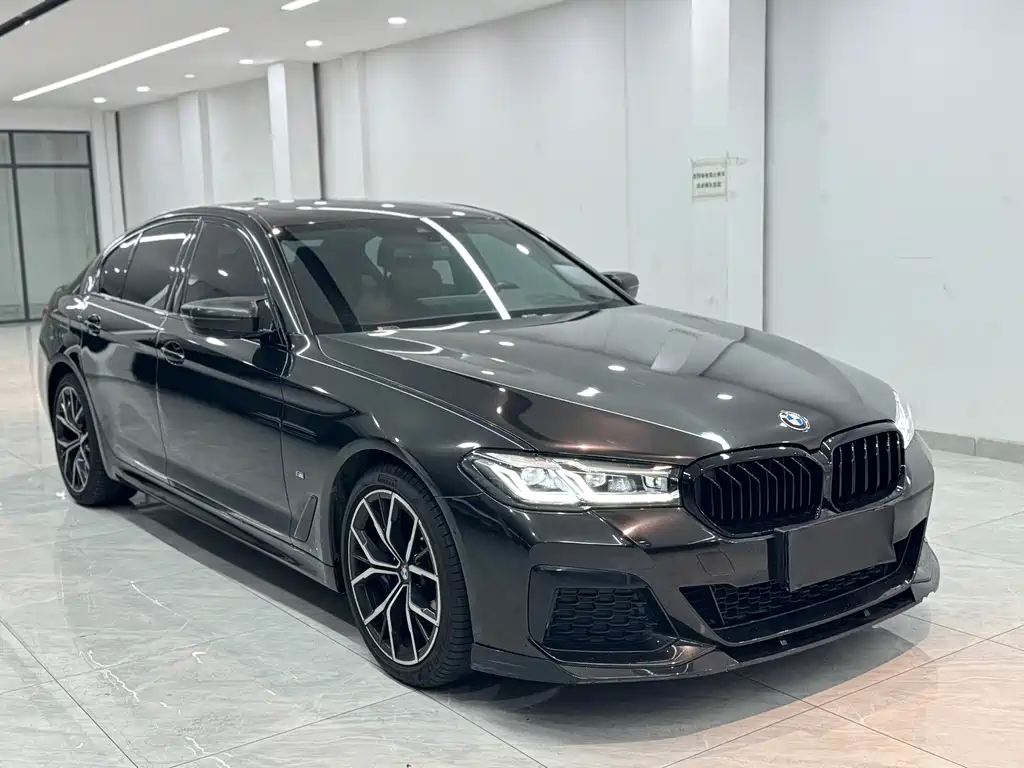 BMW 5 Series (Import) — миниатюра 3