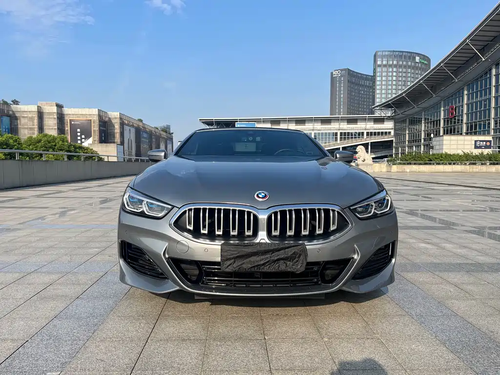 BMW 8 Series — миниатюра 3