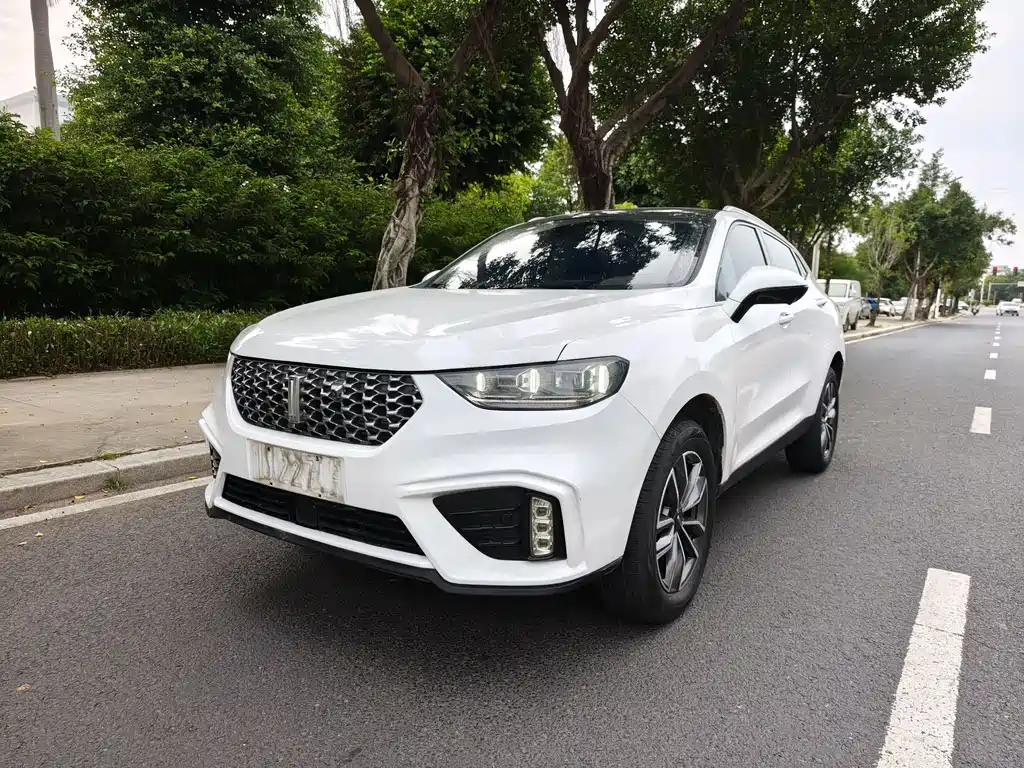 Купить Wey Wey VV5