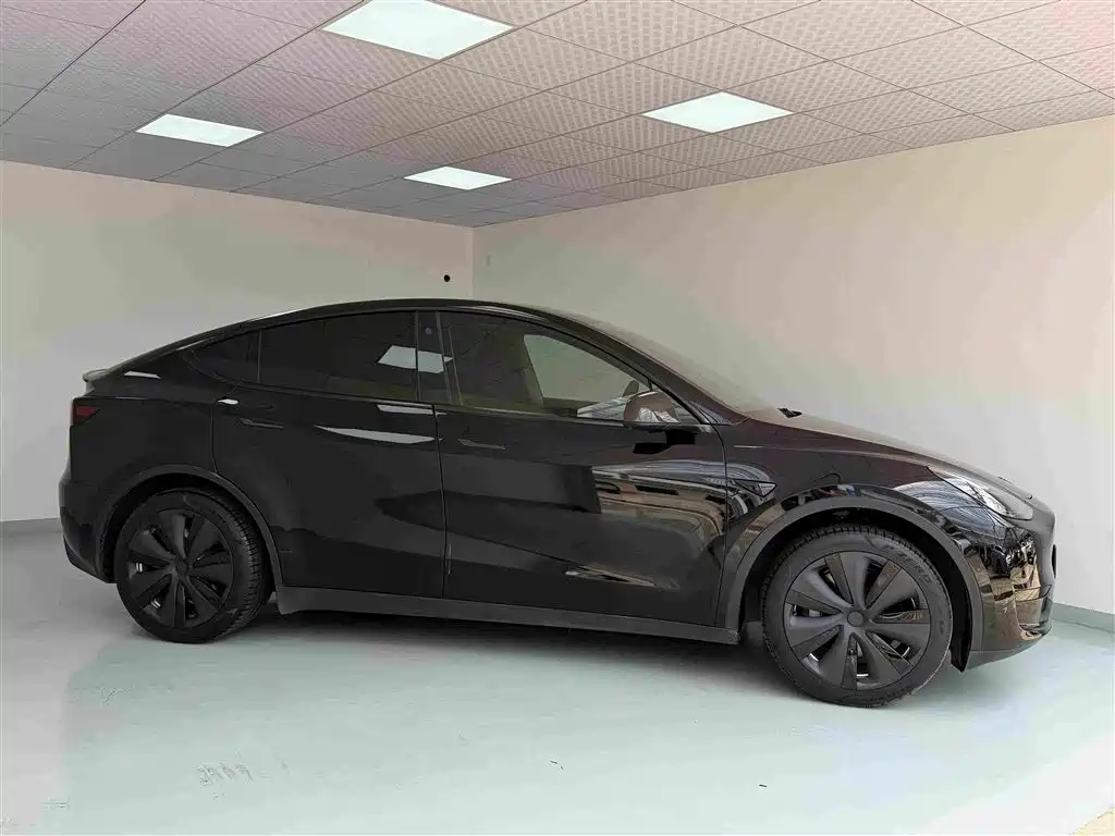 Tesla Model Y — миниатюра 3