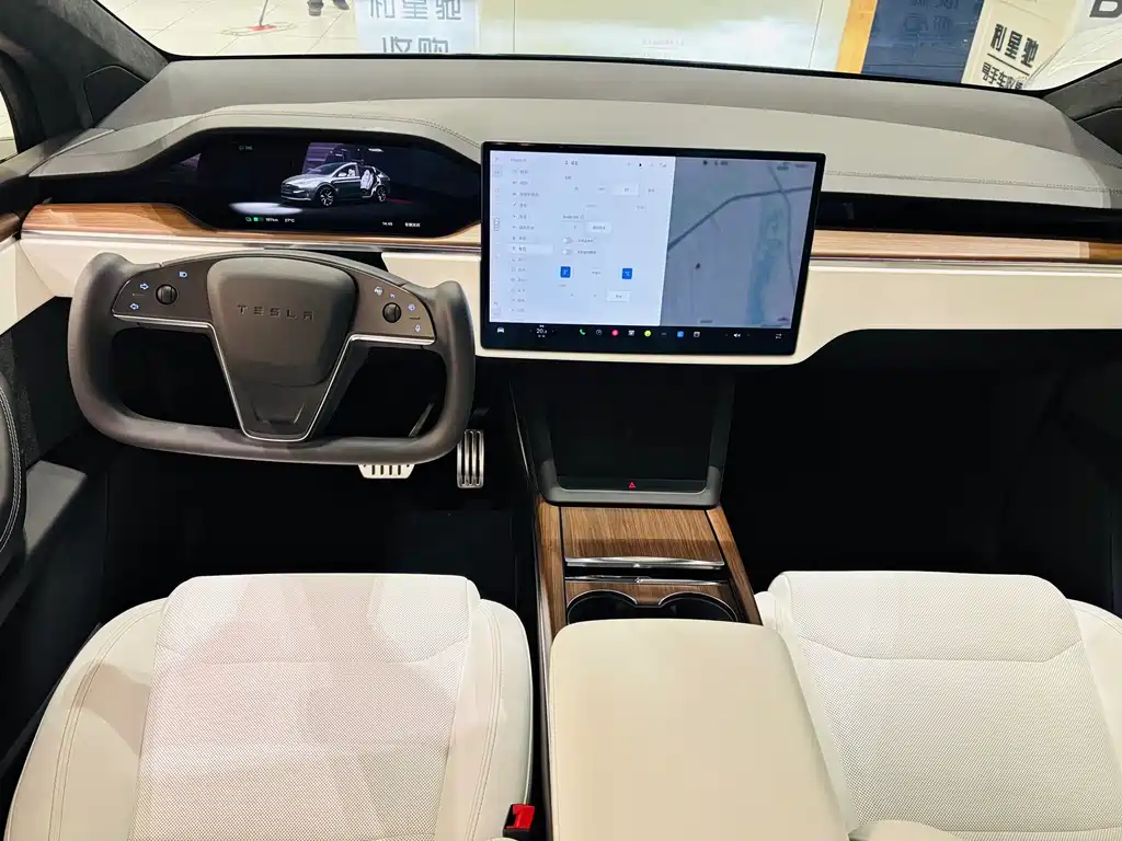 Tesla Model X — миниатюра 10