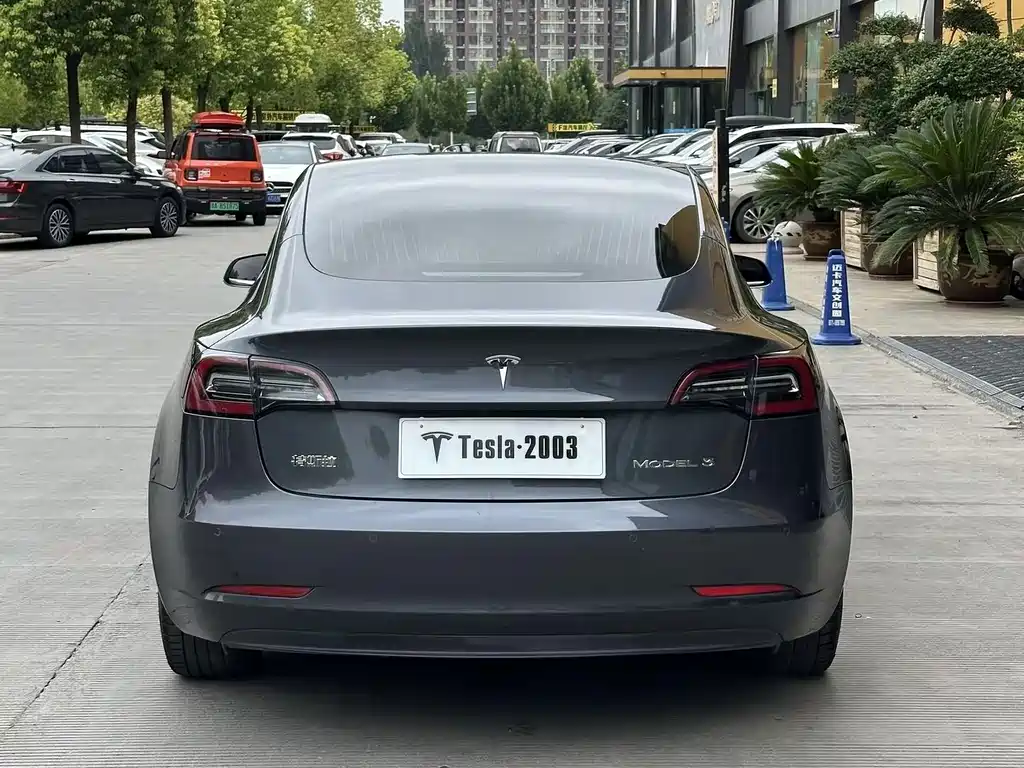 Tesla Model 3 — миниатюра 16