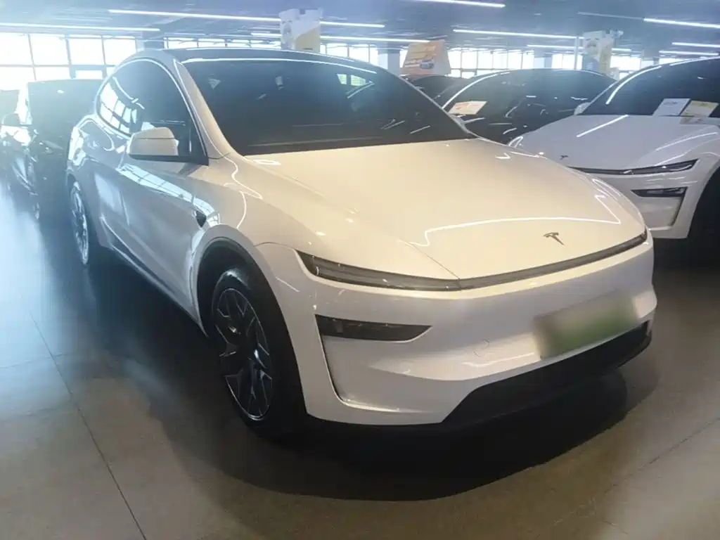 Tesla Model Y L — миниатюра 4