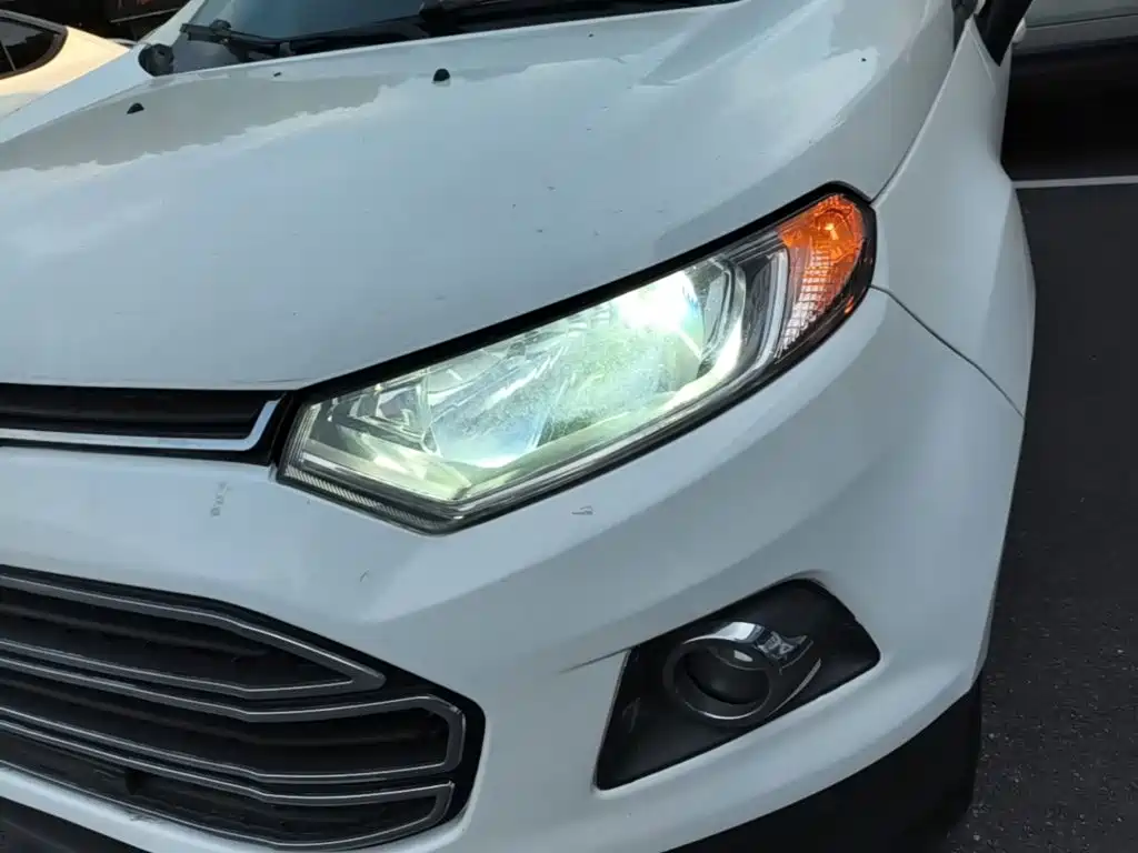 Ford Ecosport — миниатюра 24
