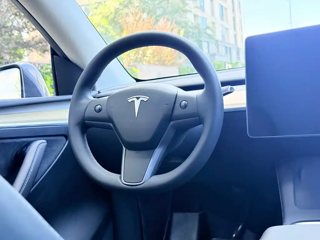 Tesla Model Y — миниатюра 11