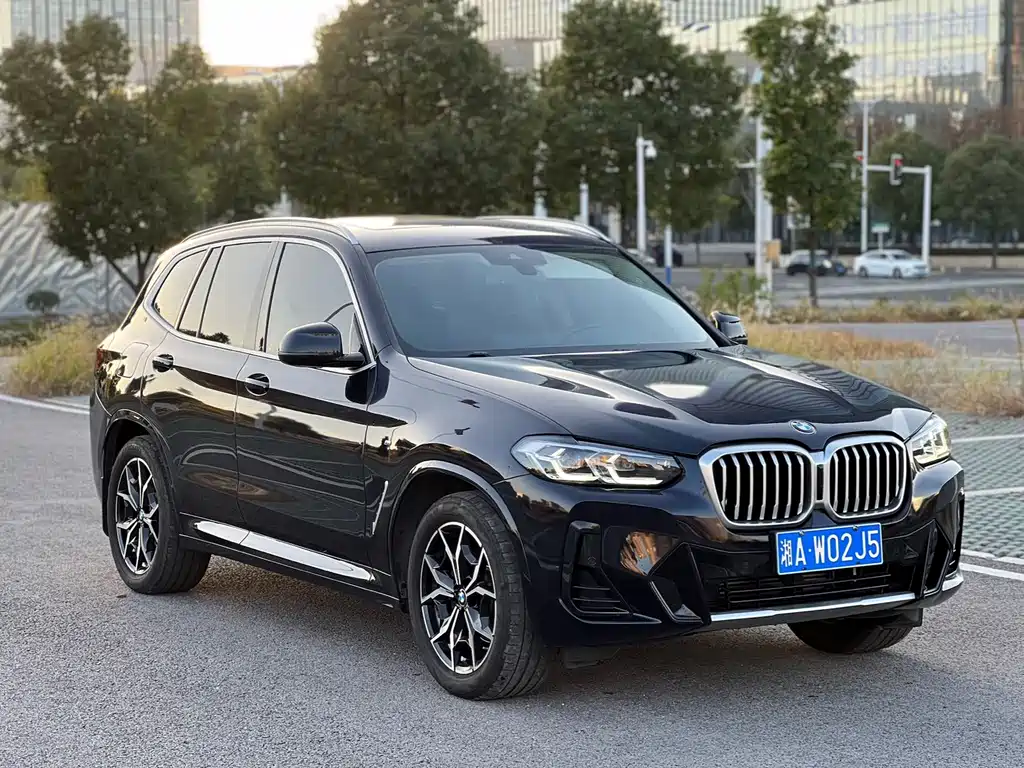BMW X3 — миниатюра 2