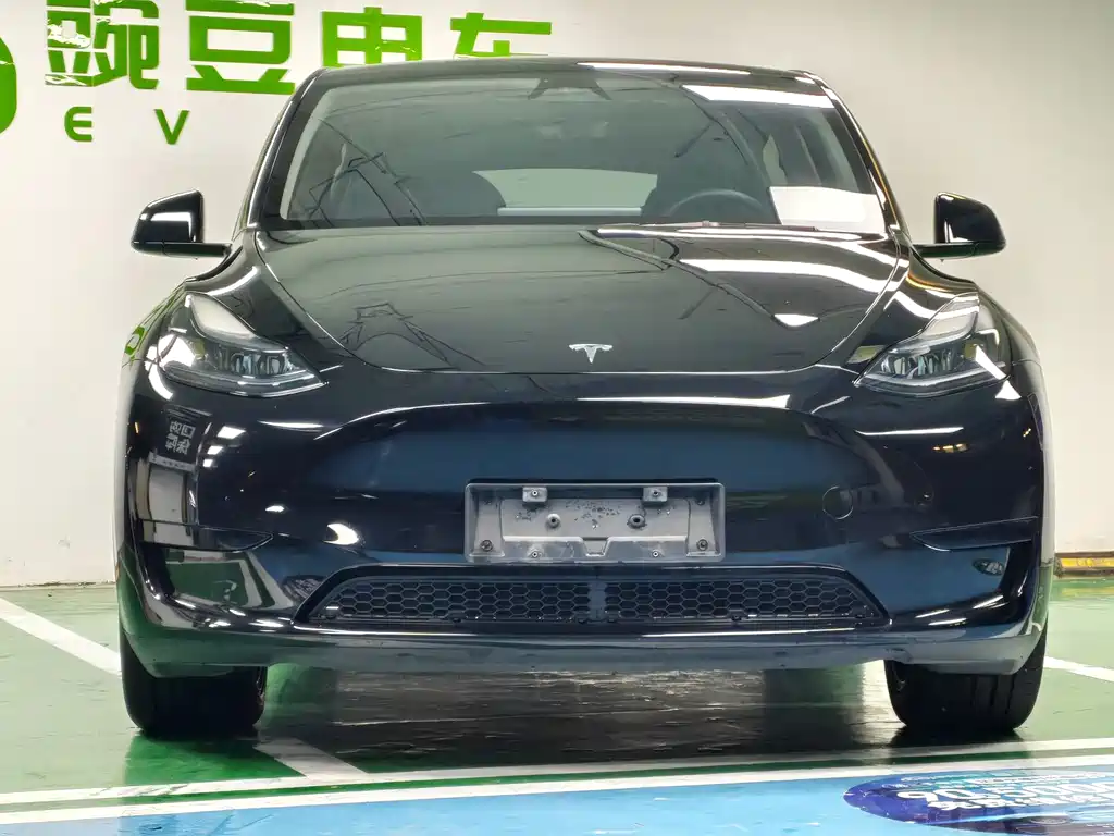Tesla Model Y — миниатюра 4