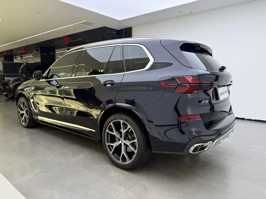 BMW X5 — миниатюра 9
