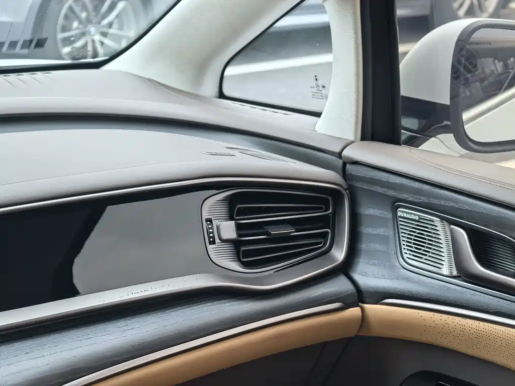 Denza Denza D9 — миниатюра 12