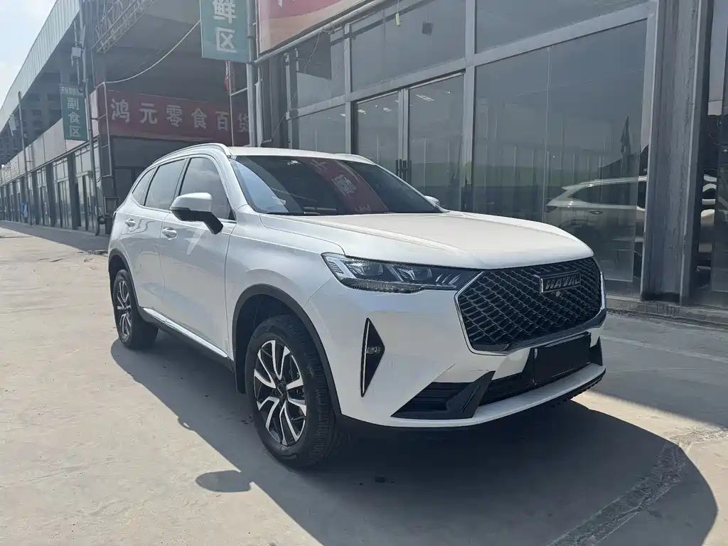 Haval H6 — миниатюра 3