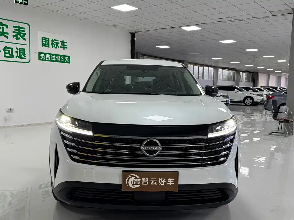 Nissan Teramont — миниатюра 2
