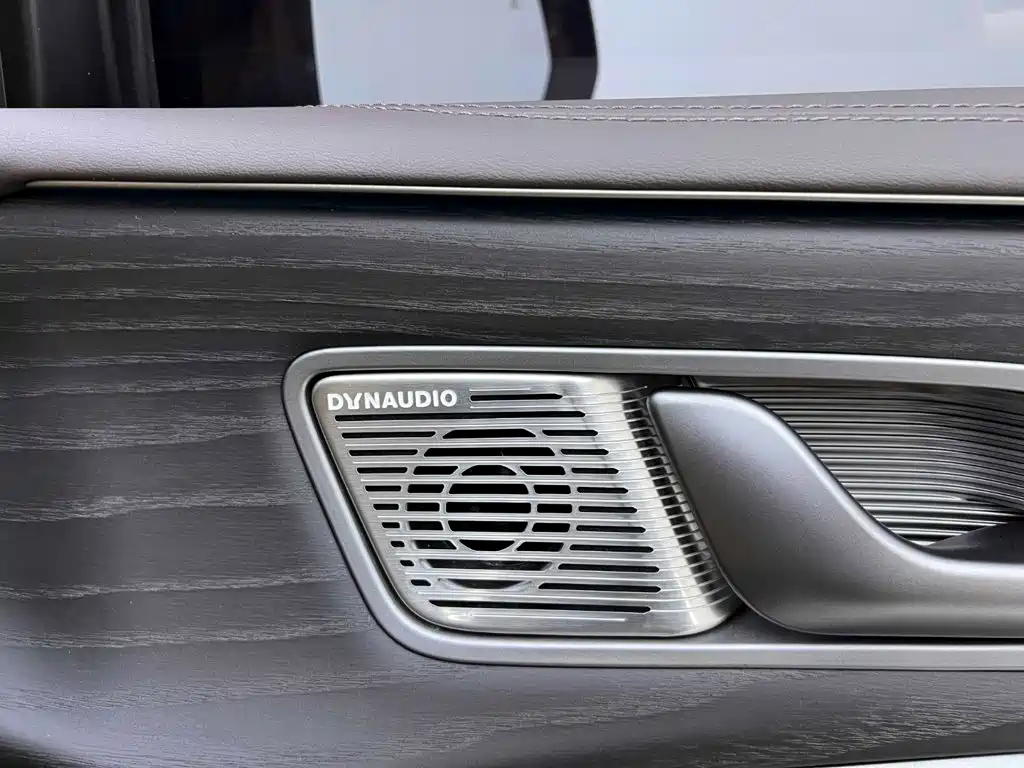 Denza Denza D9 — миниатюра 19