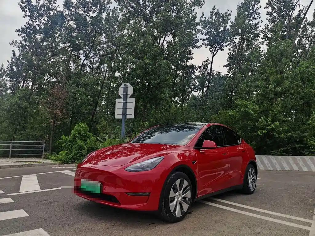 Tesla Model Y — миниатюра 2