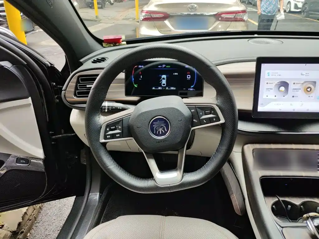 BYD Qin Plus PLUS 2024 DM-i 55KM Lead