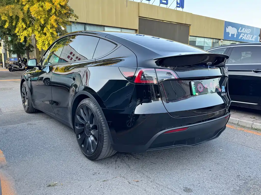Tesla Model Y — миниатюра 7