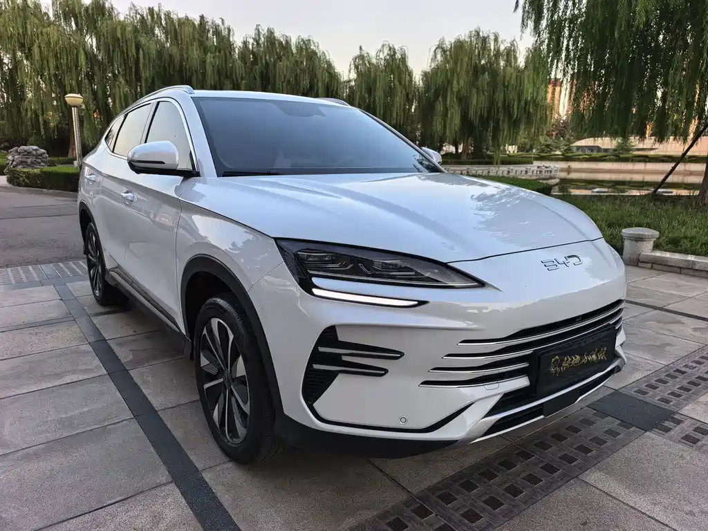 BYD PLUS New Energy — миниатюра 2
