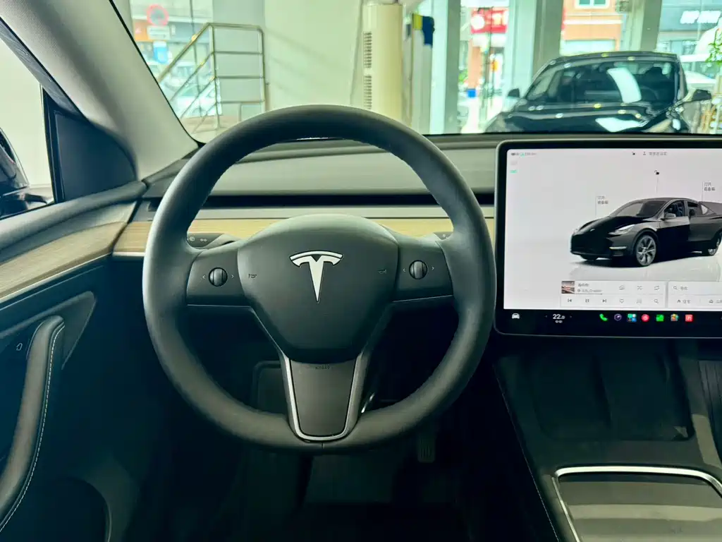 Tesla Model Y — миниатюра 11