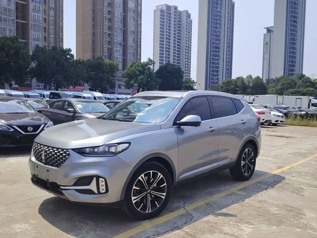 Wey Wey VV6