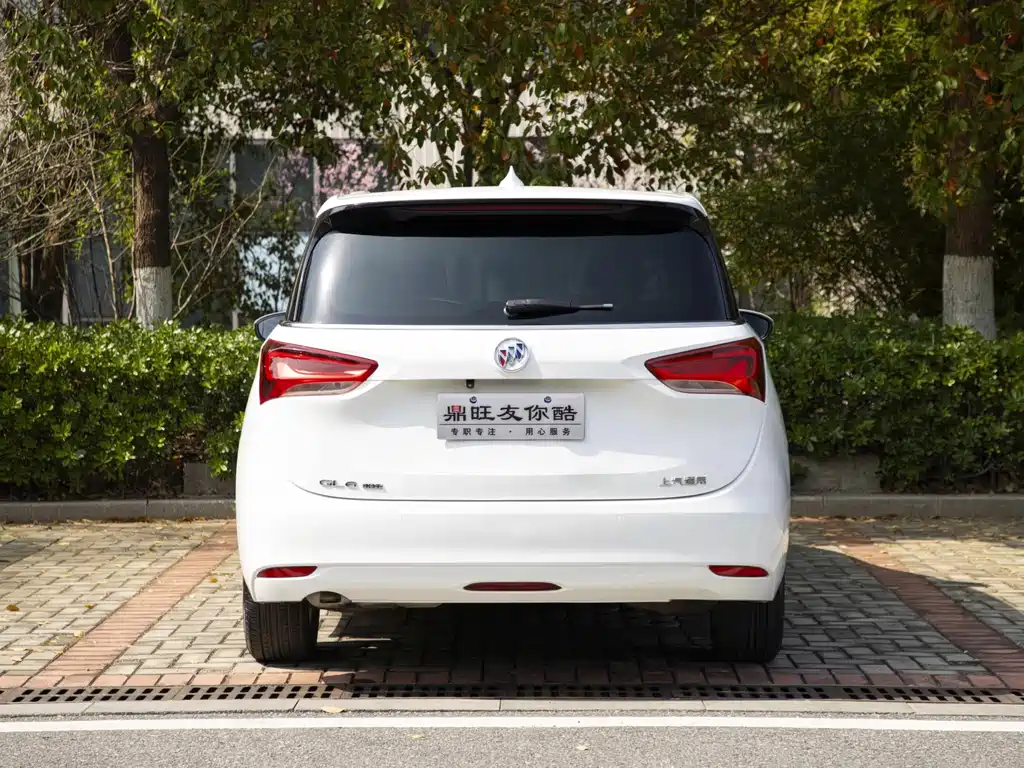 Buick GL6 — миниатюра 5