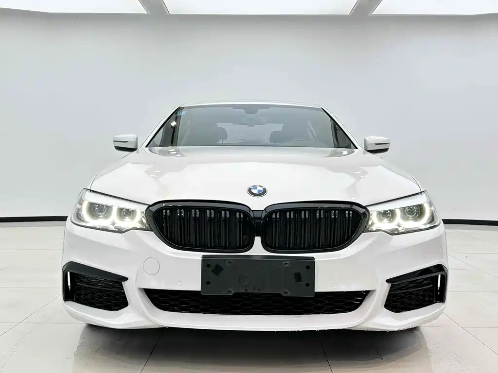 BMW 5 Series 2019