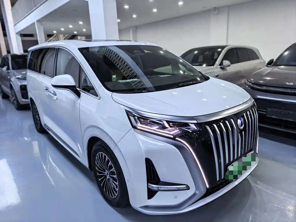Denza Denza D9 — миниатюра 2