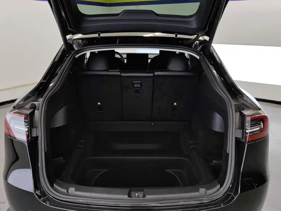 Tesla Model Y — миниатюра 4