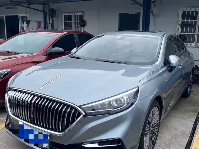 Hongqi HONGQI H5 2021