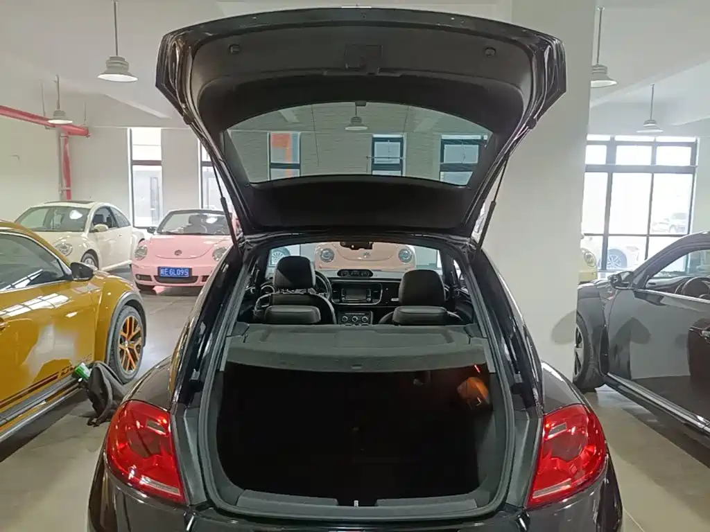Volkswagen Beetle — миниатюра 19